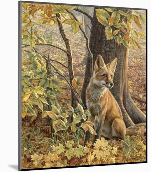 Eyes of Autumn-Kalon Baughan-Mounted Art Print