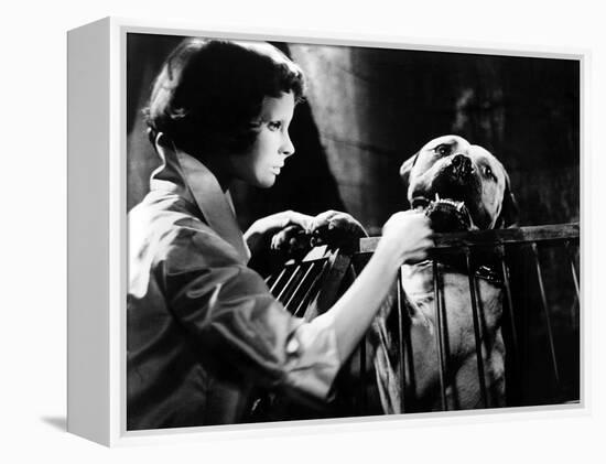 Eyes Without A Face, (aka Les Yeux Sans Visage), Edith Scob, 1960-null-Framed Stretched Canvas