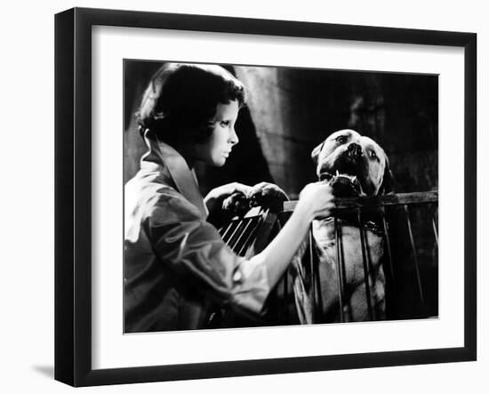 Photo, , large
