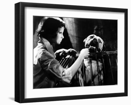 Eyes Without A Face, (aka Les Yeux Sans Visage), Edith Scob, 1960-null-Framed Photo