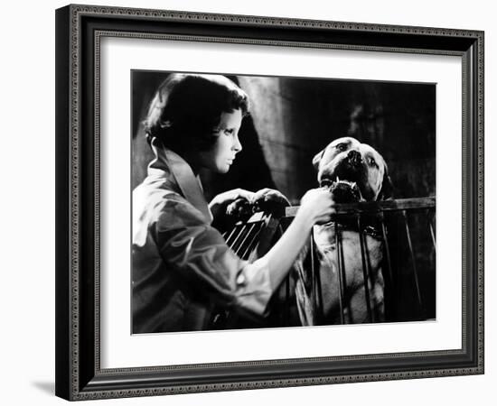 Eyes Without A Face, (aka Les Yeux Sans Visage), Edith Scob, 1960-null-Framed Photo