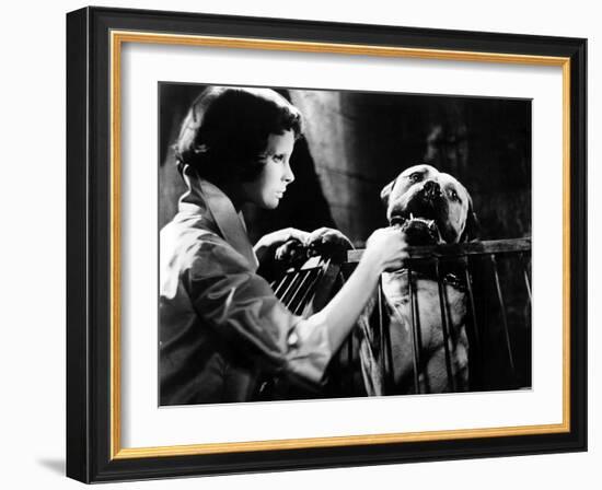 Eyes Without A Face, (aka Les Yeux Sans Visage), Edith Scob, 1960-null-Framed Photo