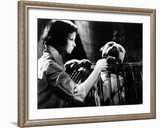 Eyes Without A Face, (aka Les Yeux Sans Visage), Edith Scob, 1960-null-Framed Photo