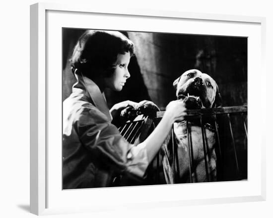 Eyes Without A Face, (aka Les Yeux Sans Visage), Edith Scob, 1960-null-Framed Photo