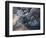 Eyjafjallajokull volcano erupting in Iceland-Paul Souders-Framed Photographic Print