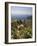 Eze Village, Alpes Maritimes, Provence, Cote d'Azur, French Riviera, France, Mediterranean, Europe-Sergio Pitamitz-Framed Photographic Print