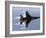 F-16 Fighting Falcon-Stocktrek Images-Framed Photographic Print