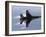 F-16 Fighting Falcon-Stocktrek Images-Framed Photographic Print