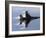 F-16 Fighting Falcon-Stocktrek Images-Framed Photographic Print