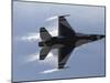 F-16 Fighting Falcon-Stocktrek Images-Mounted Photographic Print