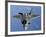 F-22 Raptor Moves into Position to Receive Fuel-null-Framed Photographic Print