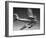 F-86 Jet Fighter Plane-null-Framed Giclee Print