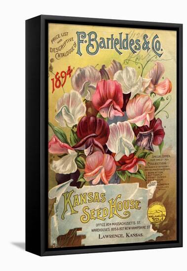 F. Barteldes and Co. Kansas Seed House-null-Framed Stretched Canvas