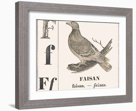 F for Pheasant, 1850 (Engraving)-Louis Simon (1810-1870) Lassalle-Framed Giclee Print