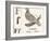 F for Pheasant, 1850 (Engraving)-Louis Simon (1810-1870) Lassalle-Framed Giclee Print