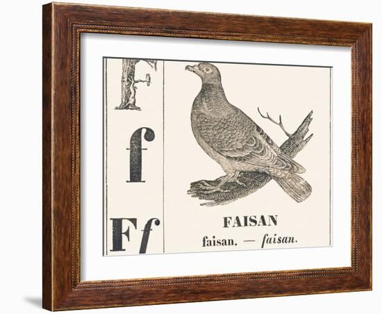 F for Pheasant, 1850 (Engraving)-Louis Simon (1810-1870) Lassalle-Framed Giclee Print