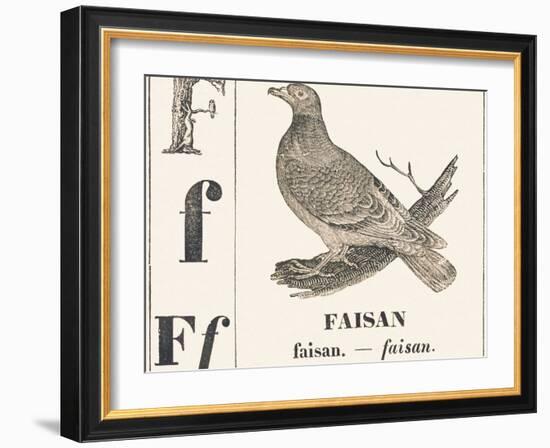 F for Pheasant, 1850 (Engraving)-Louis Simon (1810-1870) Lassalle-Framed Giclee Print