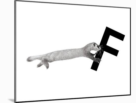 F is for Ferret-Stacy Hsu-Mounted Art Print