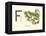 F is for Frog-null-Framed Stretched Canvas