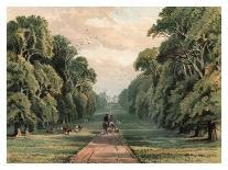Long Walk, Windsor Park, 1880-F Jones-Mounted Giclee Print