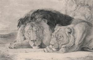 Sleeping Lion and Lioness by F^ Lewis