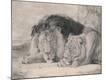 Premium Photographic Print