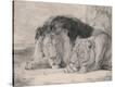Stretched Canvas Print