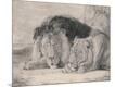 Photographic Print