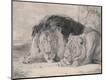 Photographic Print