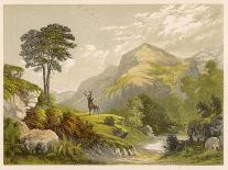 Scottish Highland Moor Scene with a Stag Set Against Majestic Hills-F. Lydon-Photographic Print