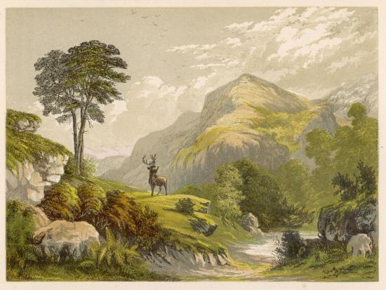 Photographic Print, , large