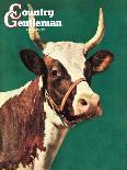 "Long-Horned Cow," Country Gentleman Cover, February 1, 1945-F.P. Sherry-Giclee Print