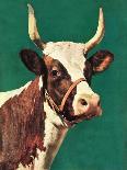 "Long-Horned Cow," Country Gentleman Cover, February 1, 1945-F.P. Sherry-Framed Giclee Print