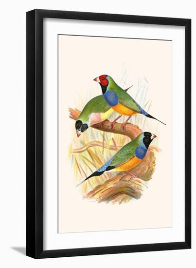 Art Print, , large