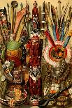 Native American Ornaments and Weapons-F.W. Kuhnert-Art Print