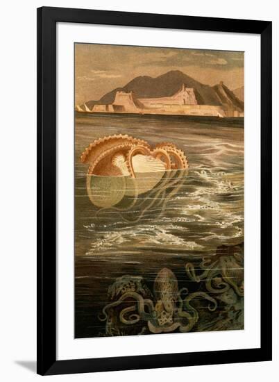 Art Print, , large