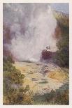 Hot Pools Near Ngongotaha Mountain-F. Wright-Art Print