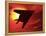 F117a Nighthawk Stealth Fighter-Victor Habbick-Framed Premier Image Canvas