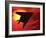 F117a Nighthawk Stealth Fighter-Victor Habbick-Framed Photographic Print