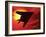 F117a Nighthawk Stealth Fighter-Victor Habbick-Framed Photographic Print