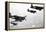 F4U Corsair Planes, Us Airforce, Used from 1943-null-Framed Stretched Canvas