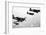 F4U Corsair Planes, Us Airforce, Used from 1943-null-Framed Photo