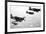 F4U Corsair Planes, Us Airforce, Used from 1943-null-Framed Photo