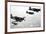 F4U Corsair Planes, Us Airforce, Used from 1943-null-Framed Photo