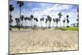 Photographic Print