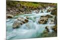 Premium Photographic Print