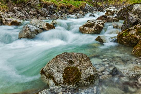Premium Photographic Print, , large