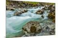 Premium Photographic Print