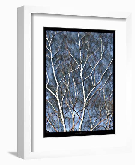 Faa Birch-Tim Nyberg-Framed Giclee Print