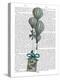 Stretched Canvas Print